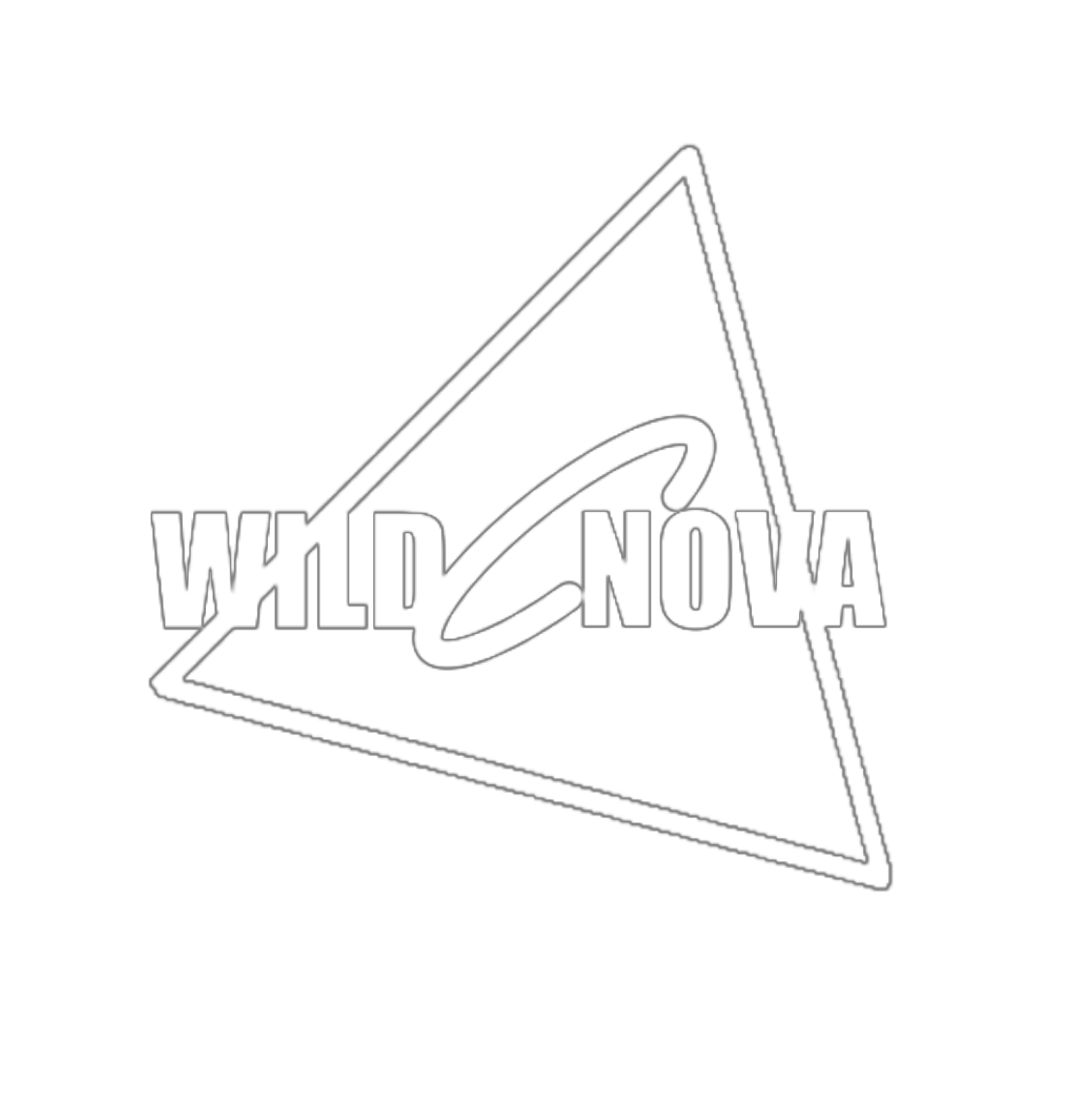 Wild Nova studio 